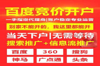 搜索引擎营销（SEM）广告投放的技巧与经典案例
